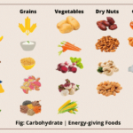 Sources of Carbohydrates