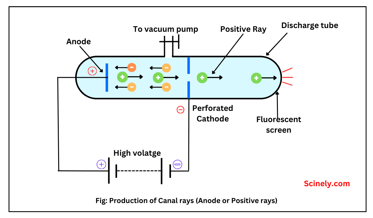 Discovery of proton