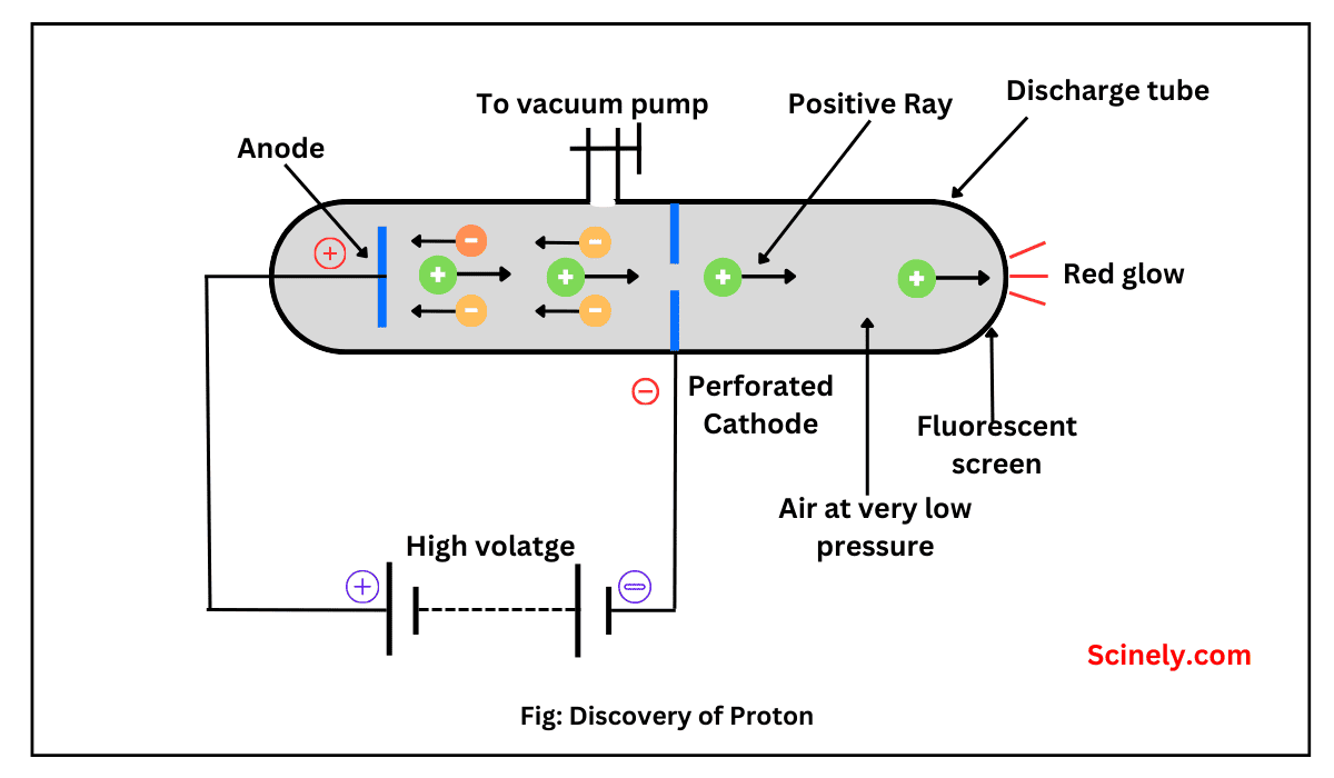 Discovery of proton