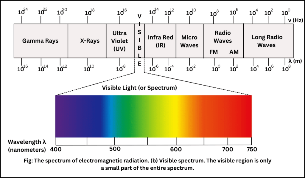 Electromagnetic Spectrum Definition Examples Scienly Electromagnetic Spectrum Definition Examples Scienly