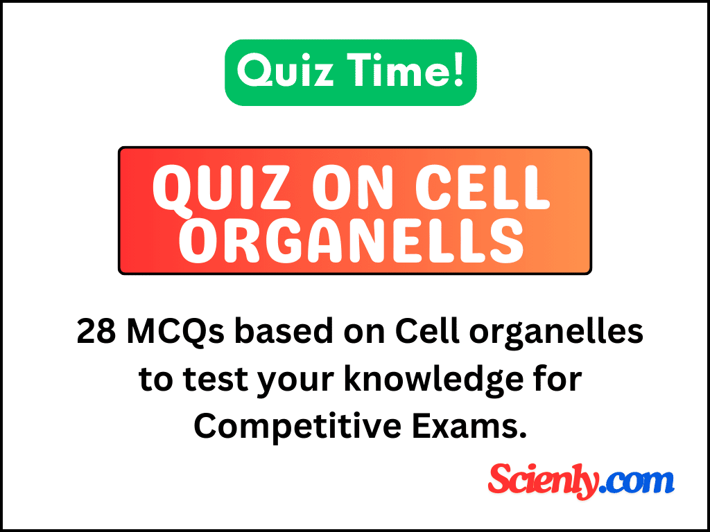 Cell organelles quiz questions