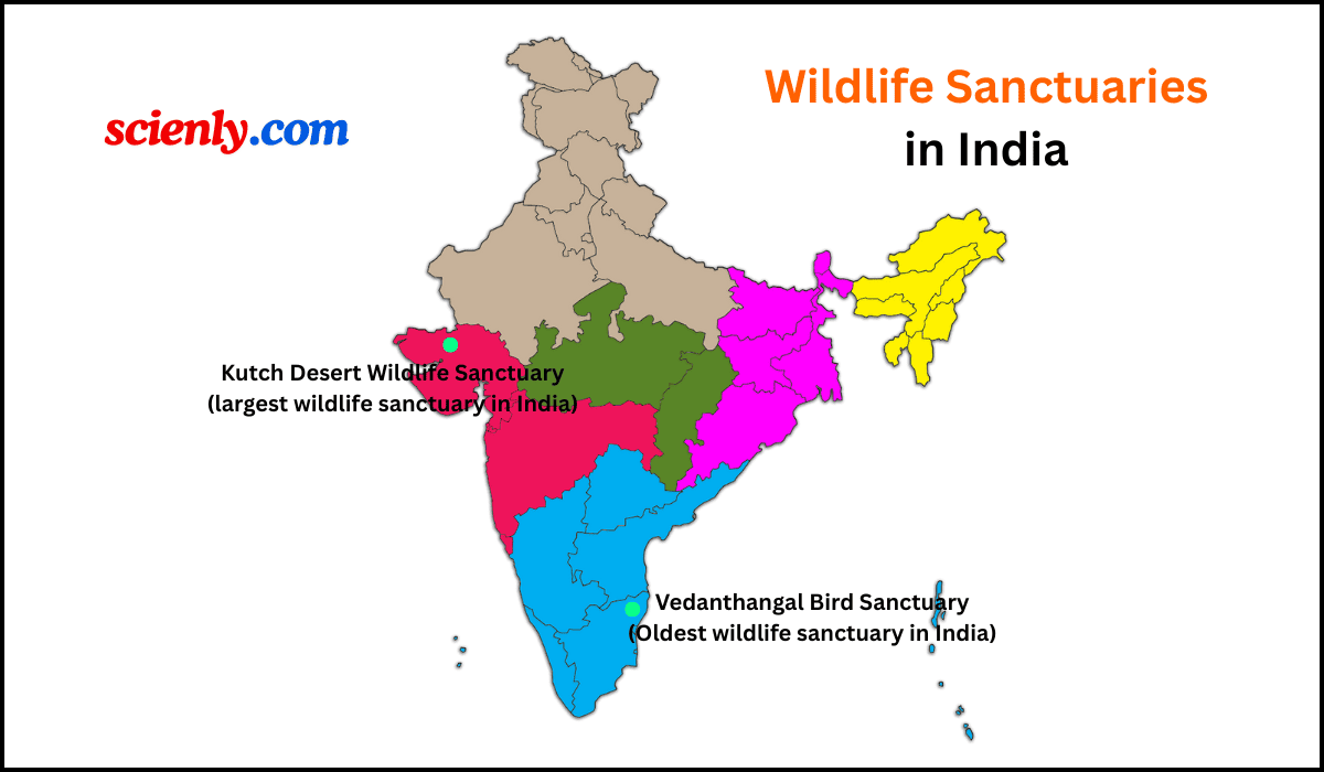 Wildlife sanctuaries in India.
